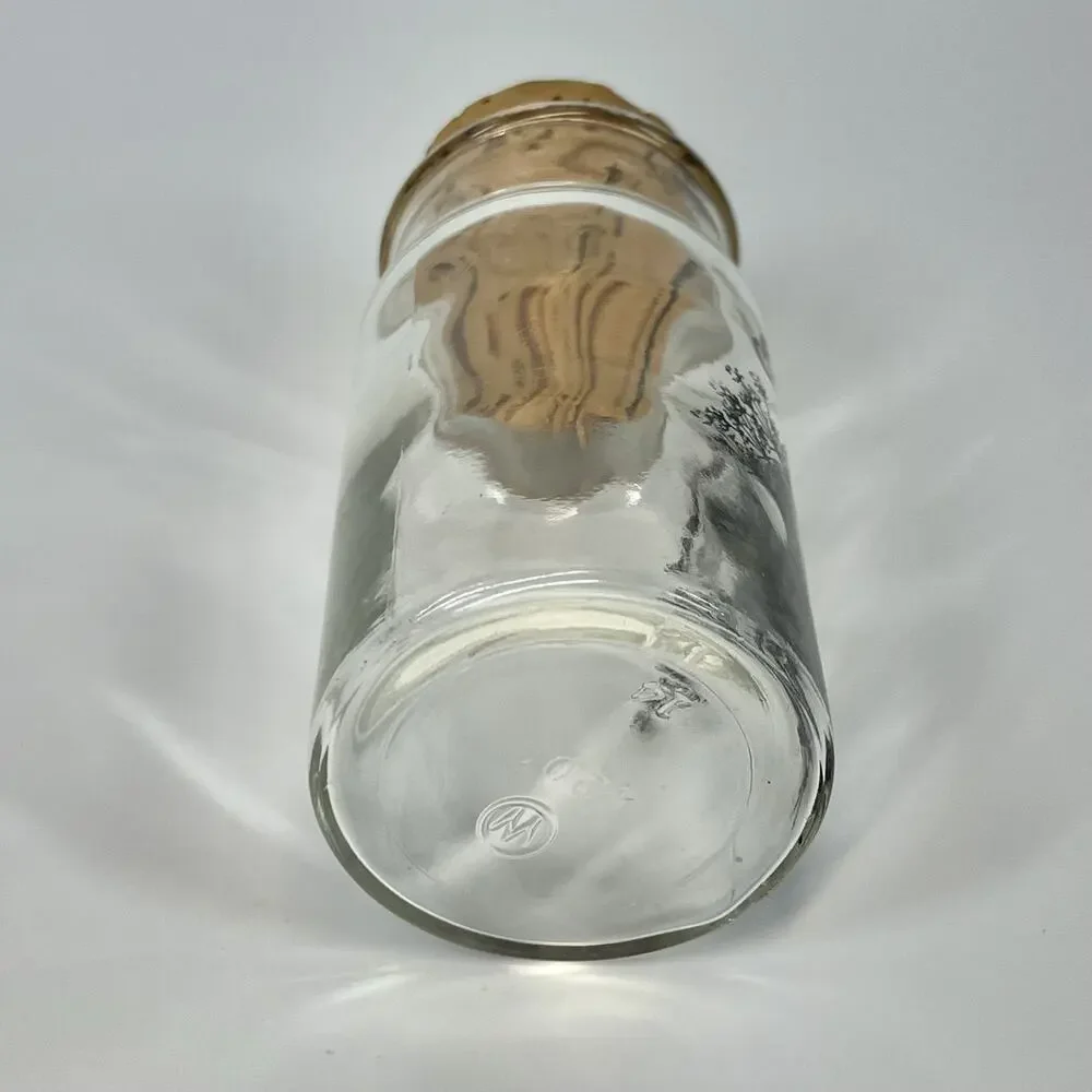 Vintage 70s Wheaton Botanical Glass Spice Jar w/ Cork Lid - Caraway Seed